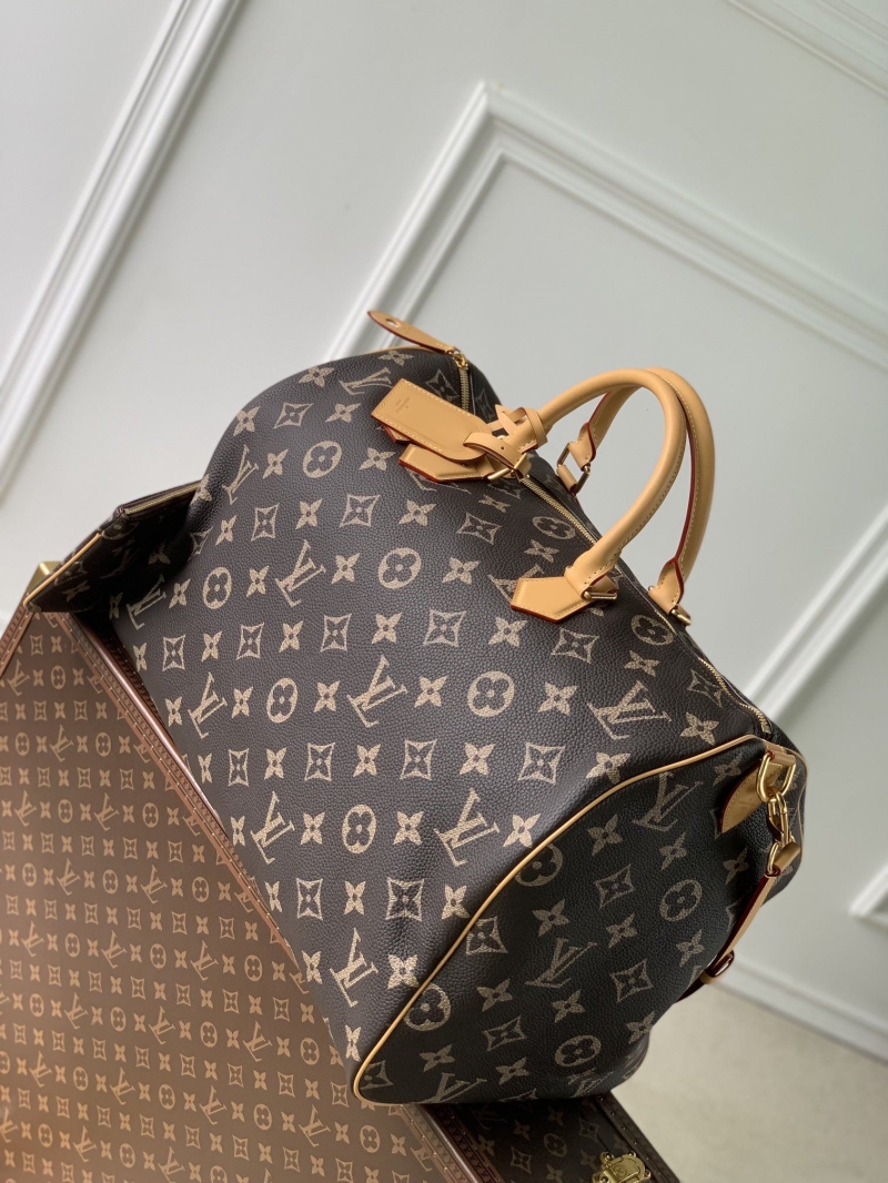 LV Travel Bags